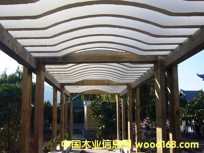 ����ľ��Ԕ����B