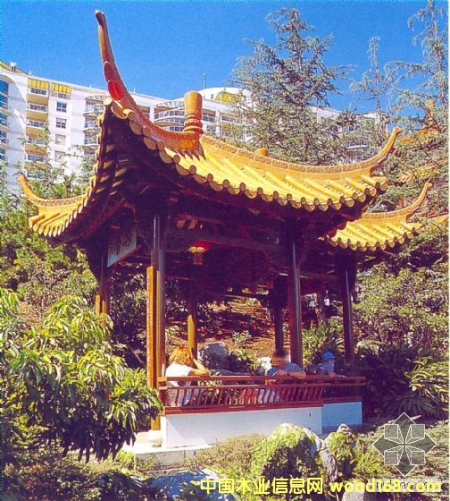 ����ľ��Ԕ����B