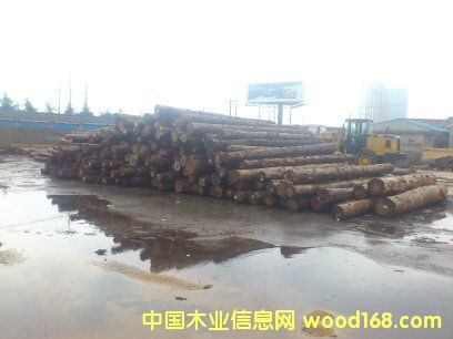 ԭľ��Ԕ����B