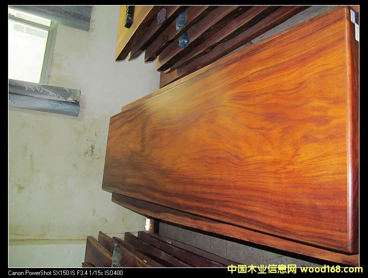 ���޲��}�����Ԕ����B