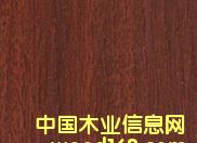 ���B����ɳ������Ԕ����B