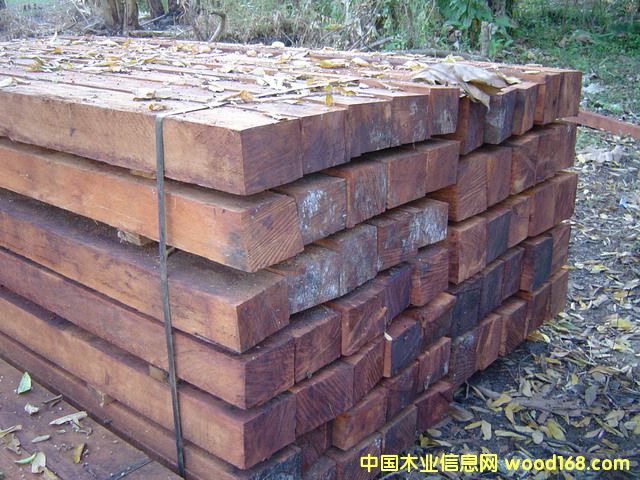 쳝��һ�о��ĵ�Ԕ����B