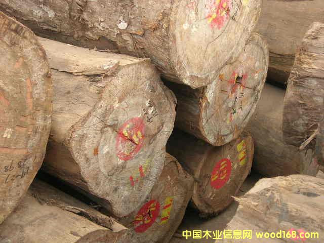 �M��Խ�Ͼ����z�ľ/��z��/�Sо�ľ���M�ڈ��P��Ԕ����B