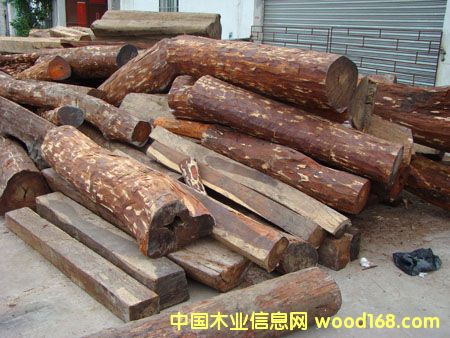 �M�ږ|�ρ��R����/��˼ľacaciaԭľľ���M�ڈ��P��Ԕ����B