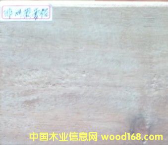 ���޲��}���Ԕ����B