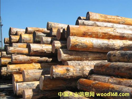 ������ԭľ��Ԕ����B