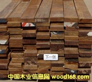 �ڂ��� �ڂ��Ұ�ĵ�Ԕ����B