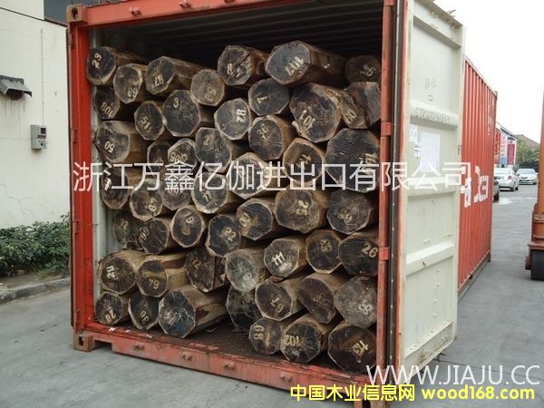 ����֦����~�S̴��Ԕ����B