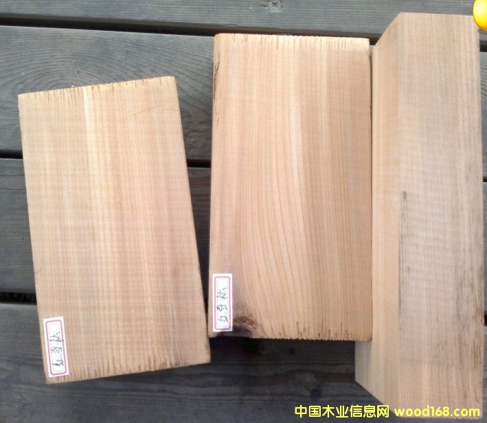 �tѩ�ɵ�Ԕ����B