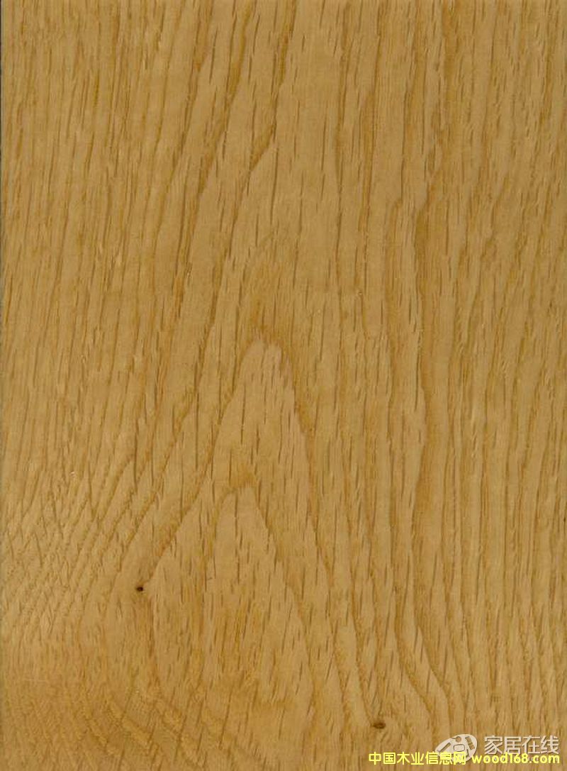 ����ľ��Ԕ����B