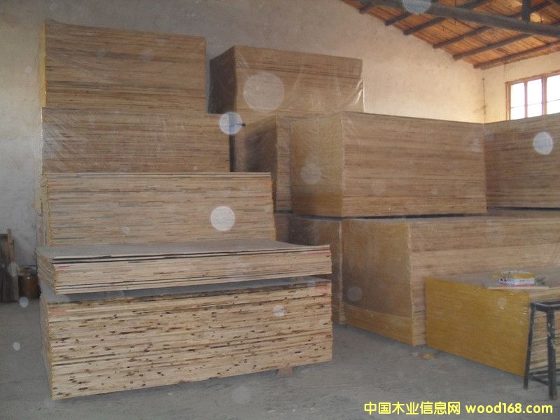  ��ľָ�Ӱ��Ԕ����B