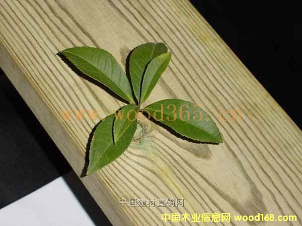 �Ϸ��ɵ�Ԕ����B