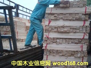 ��ɼľ��䁰����b܇��Ԕ����B