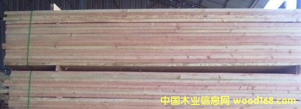 �����ɵ�Ԕ����B