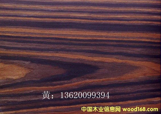 ��̴�Ƽ�ľƤ