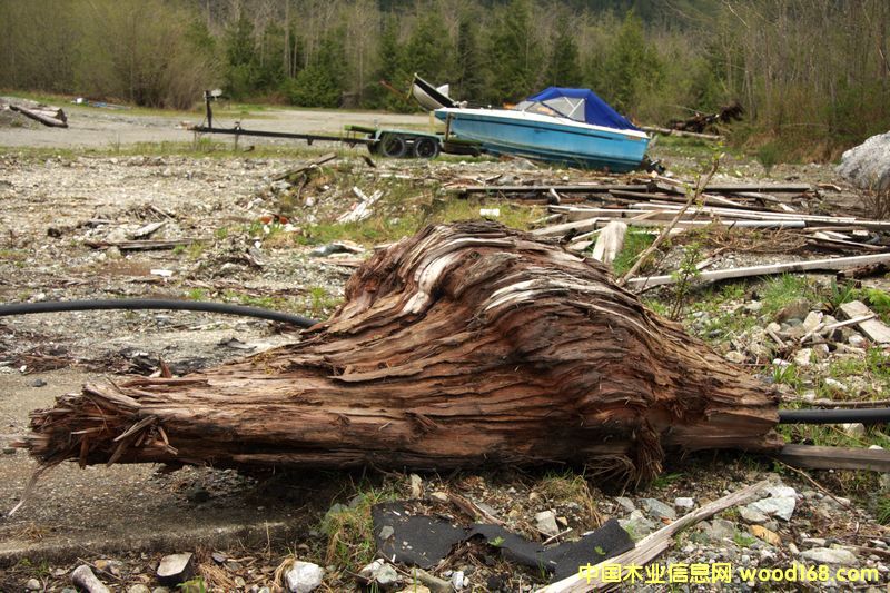 �tѩ�ɘ�(sh��)��