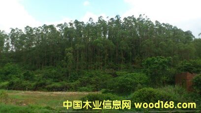 ����Ԕ����B