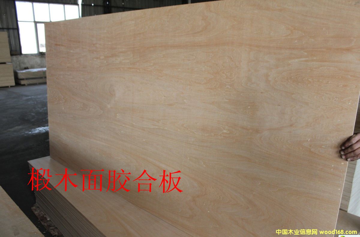 �ľ����Ӱ��Ԕ����B