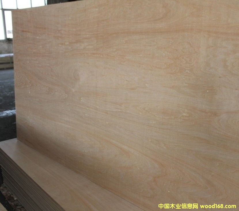 �ľ��Ԕ����B