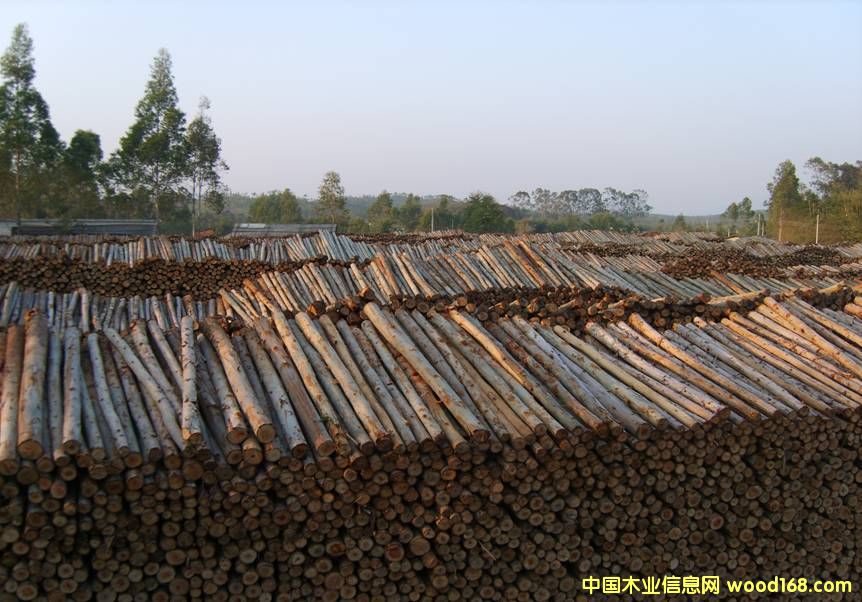 ���ԭľ��Ԕ��(x��)��B