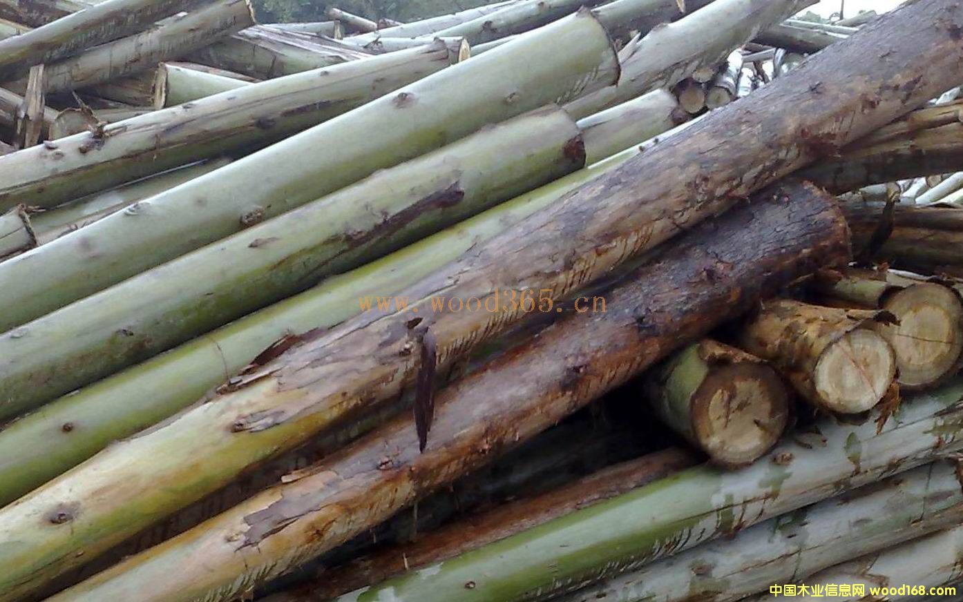 ����?j��)?y��u)�|(zh��)���ԭľ��2��β��6CM�𣩵�Ԕ��(x��)��B