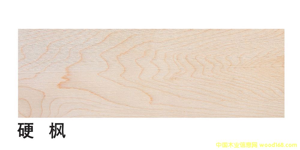 �����M��Ӳ�����