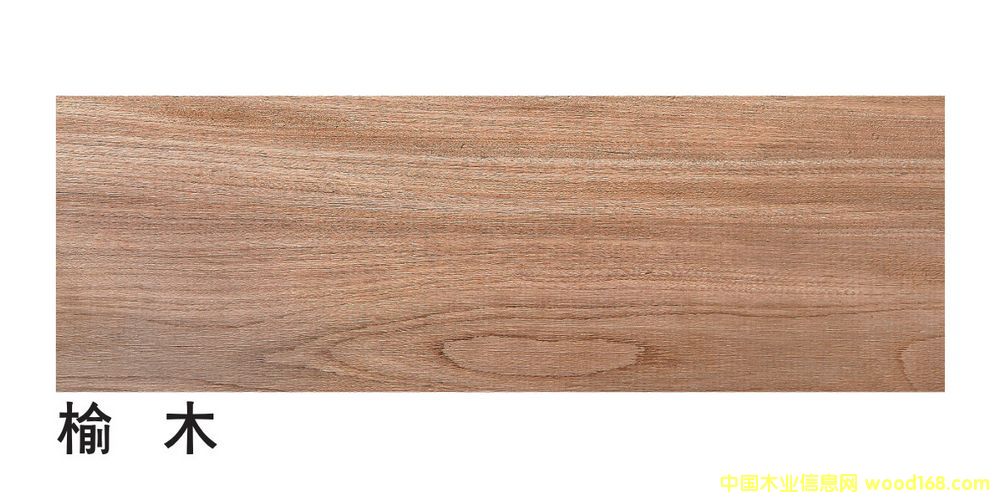 �����M�ڼt�ܰ�ĵ�Ԕ����B