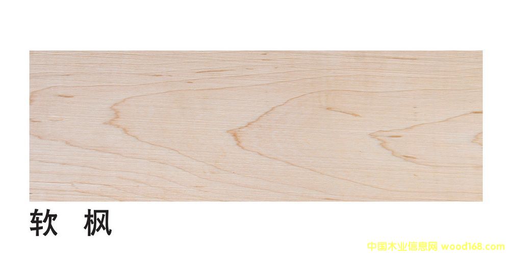 �����M��ܛ����ĵ�Ԕ����B