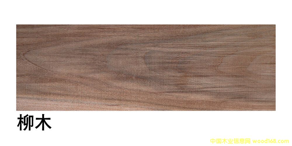 �����M����ľ��ĵ�Ԕ����B