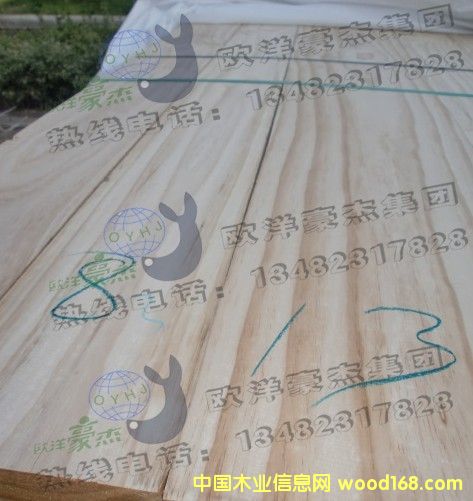 [��] �̓r(ji��)ARAUCO����ݗ����24�Ҿ߼����