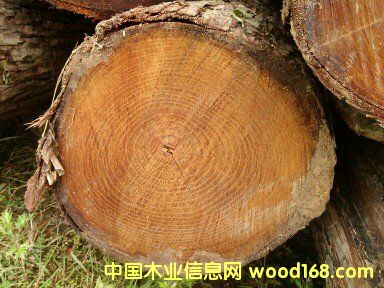 �t��ԭľ��Ԕ����B