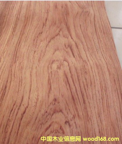 ����ɽ�y��Ԕ����B