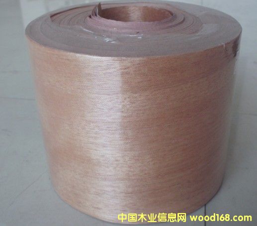 �t���ҟo������Ԕ����B