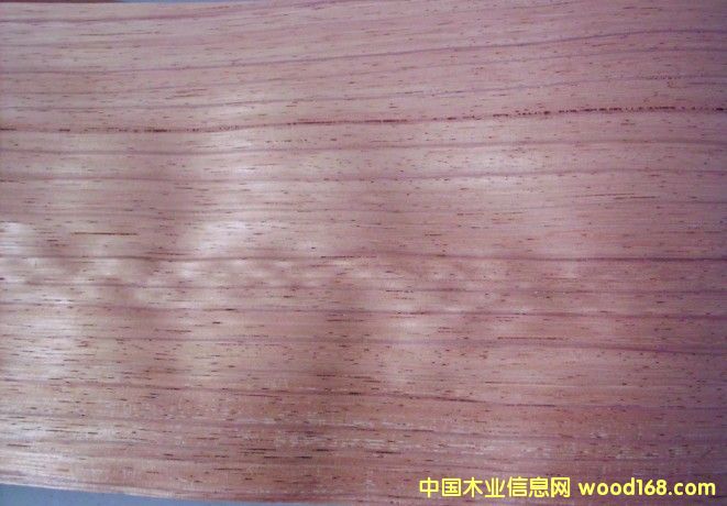 �tõ���Ԕ����B