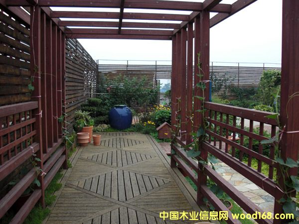  ����ľ��Ԕ����B