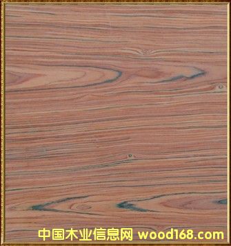 �M����֦��Ԕ����B