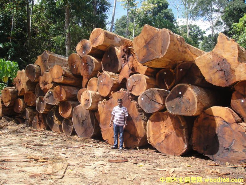 �R��(l��i)�͵���Ԕ��(x��)��B