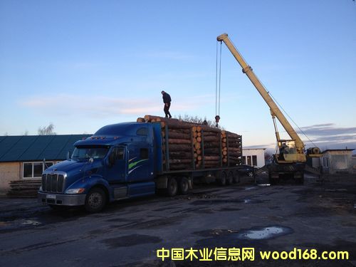 �����ɰ�ĵ�Ԕ����B