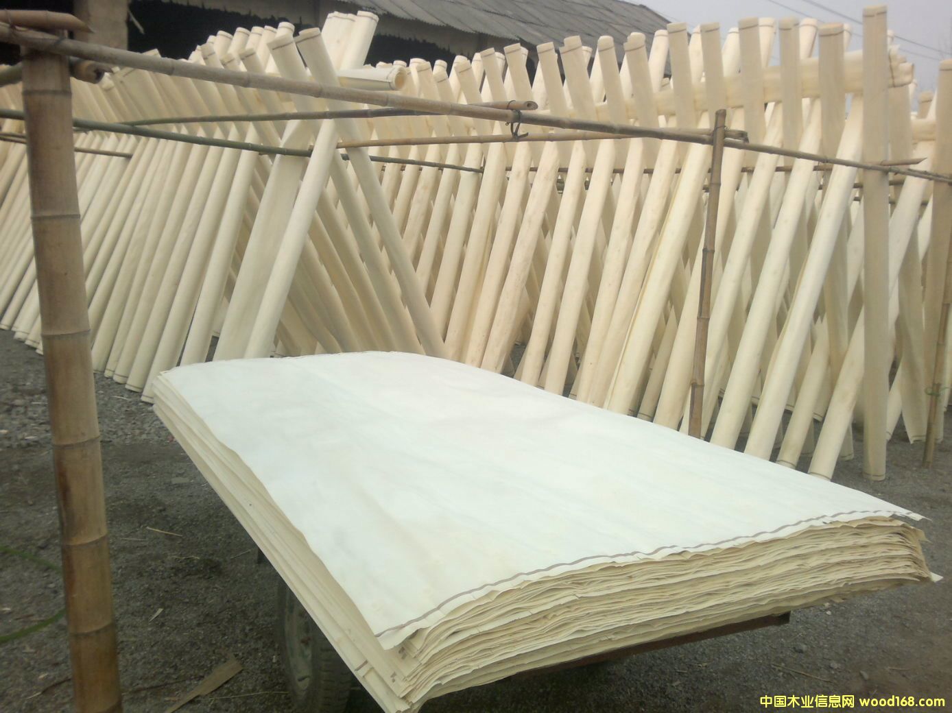 ��ľƯ�״�Ƥ��Ԕ����B