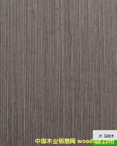 ����ľ��Ԕ����B