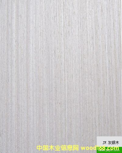 ���y��Ԕ����B