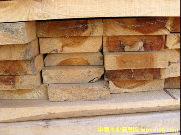 �������ľԡͰ��