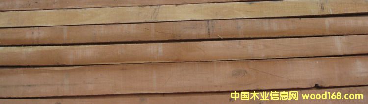 �����t����ľ��Ԕ����B