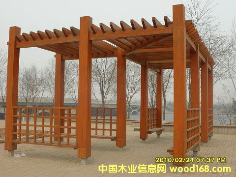 ����ľ��Ԕ����B