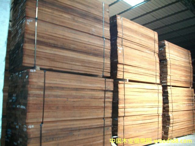 ����ɳ����