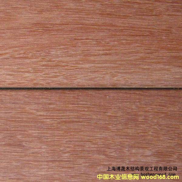 ɽ��ľ��Ԕ����B