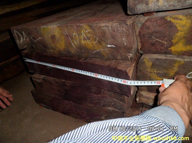 �t��֦��Ԕ����B