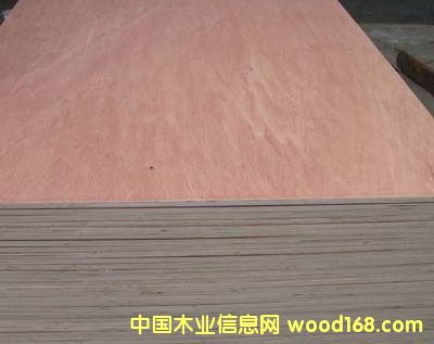 �Ҿ߰�2��Ԕ��(x��)��B