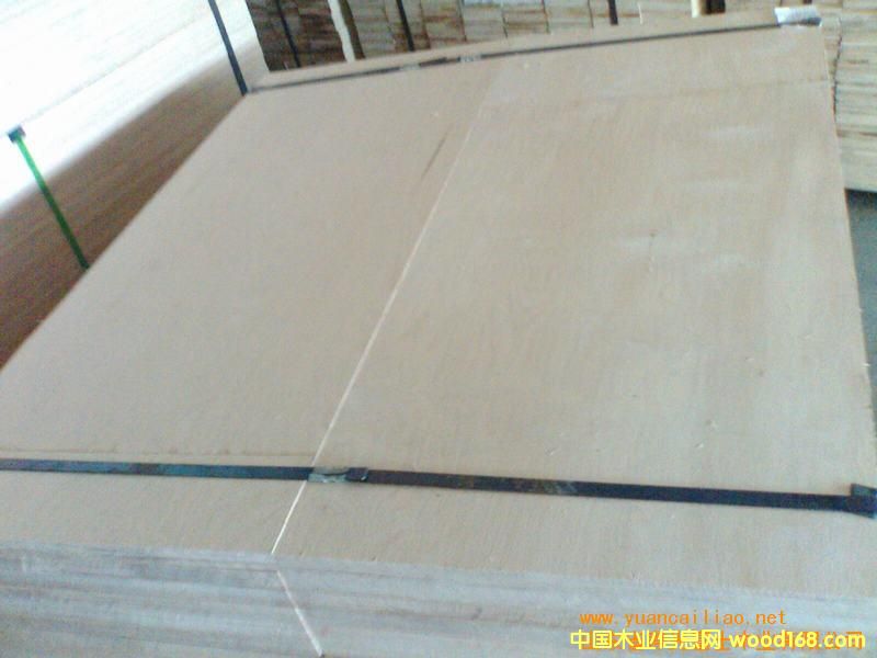 12��һ�γ���MR���b���Ԕ��(x��)��B