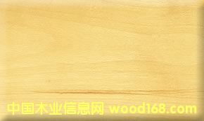 һ������ľ��Ԕ����B